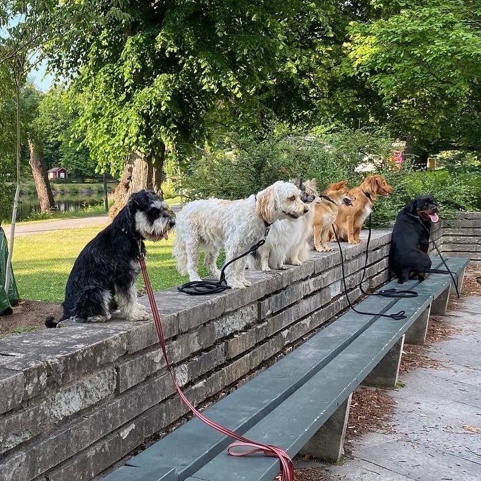 Vardagsrelation Avancerad