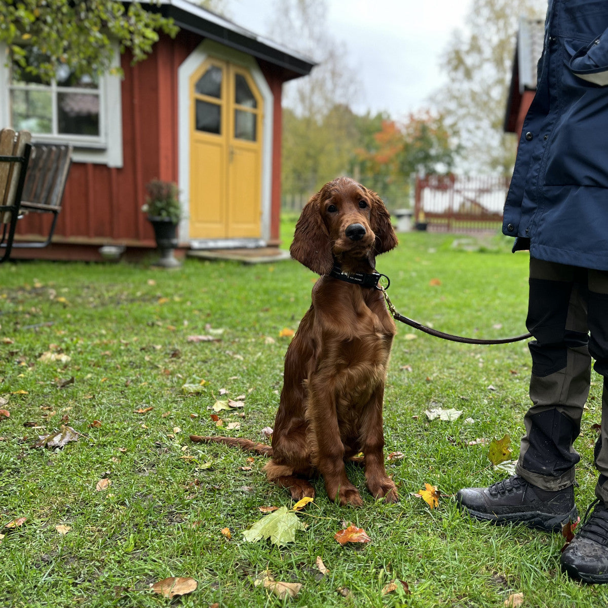 Privatkonsultation - 1 tillfälle