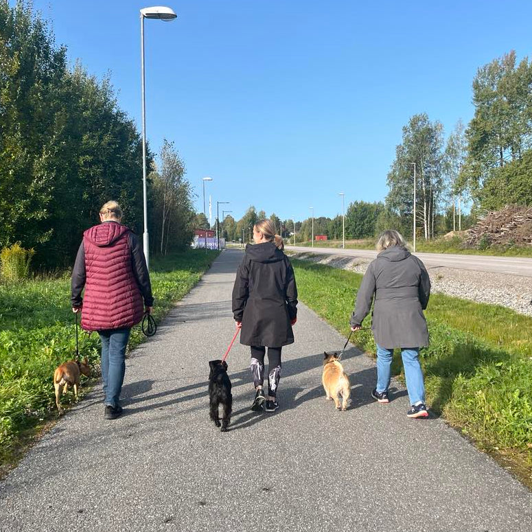 Koppelkurs