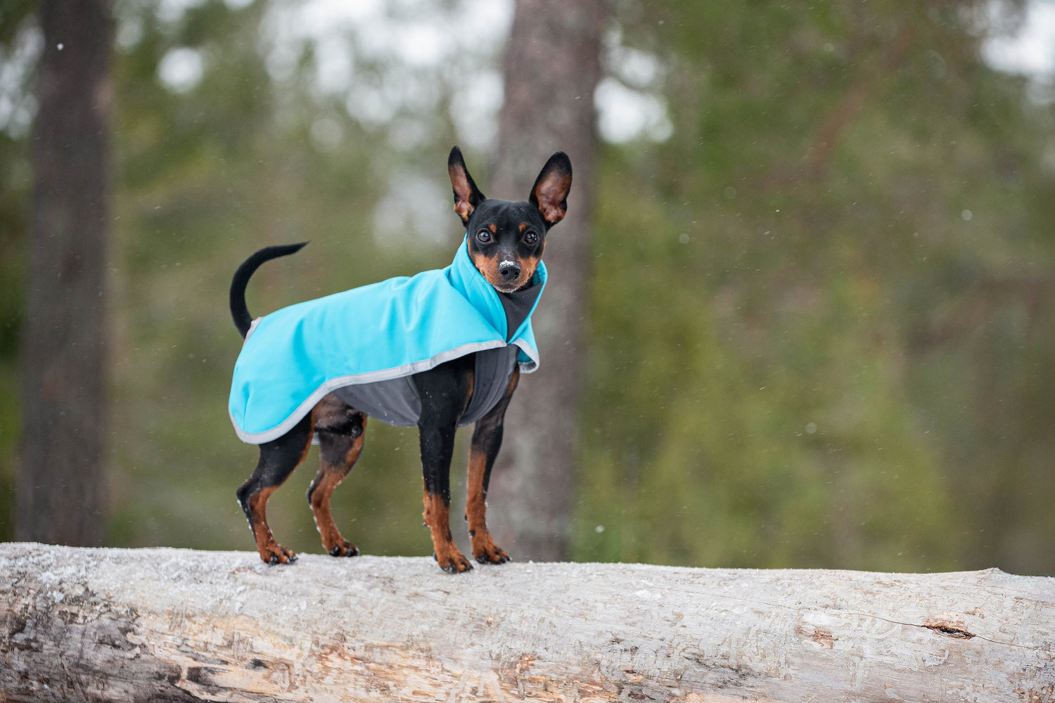 Pomppa Sportti Softshelltäcke