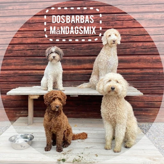 Dos Barbas Måndagsmix