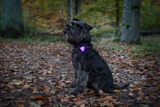 Blinklampa Basic LED