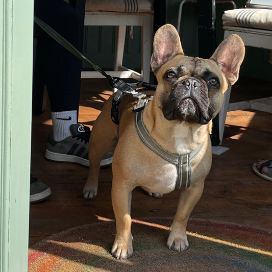 Privatkonsultation - 3 tillfällen