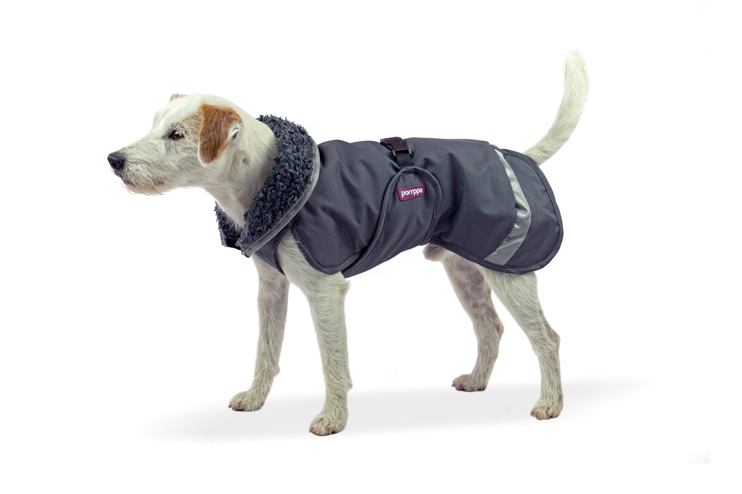 Pomppa Perus Graphite