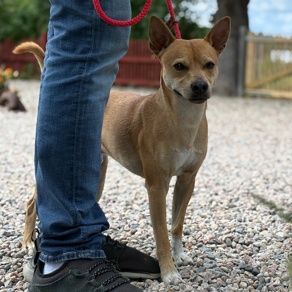 Privatkonsultation - 5 tillfällen