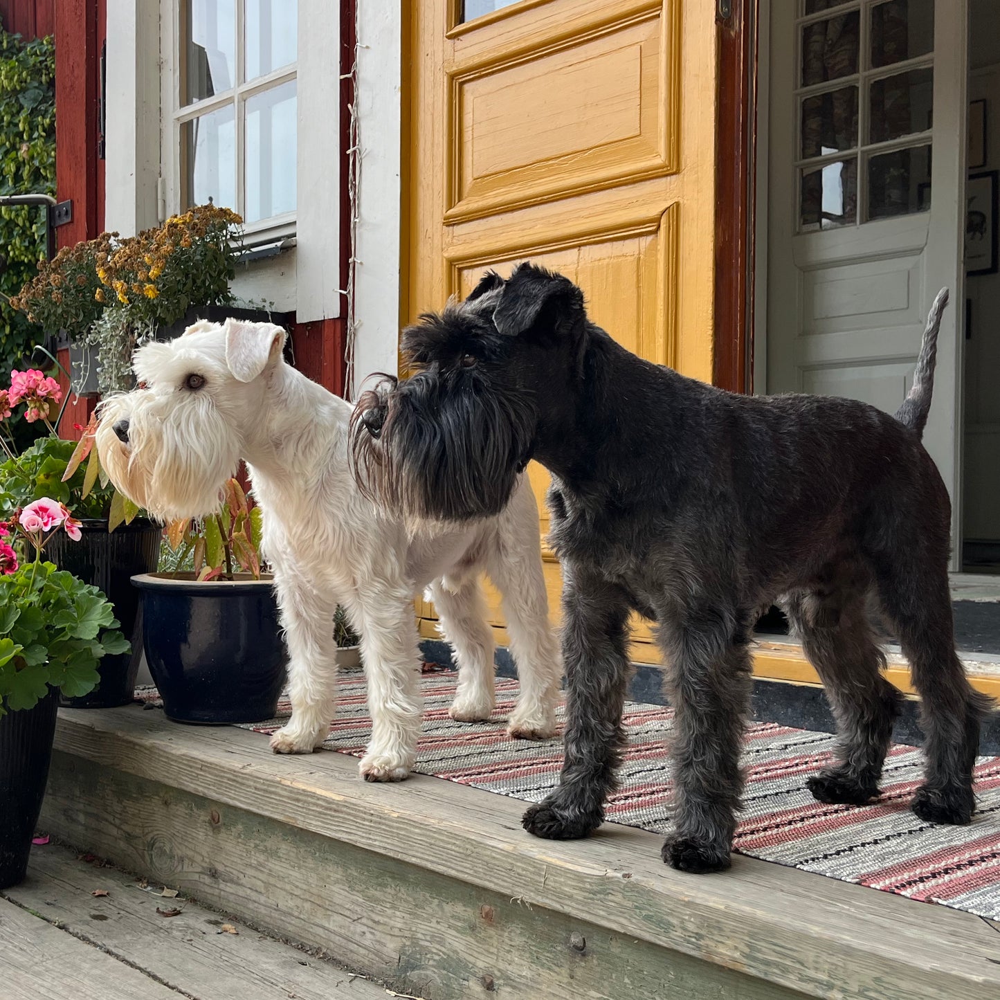 Privatkonsultation i hemmet