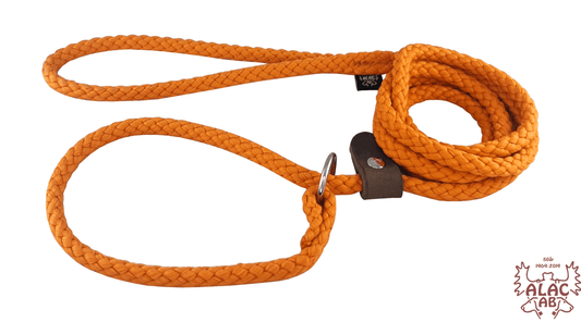 Retrieverkoppel Orange