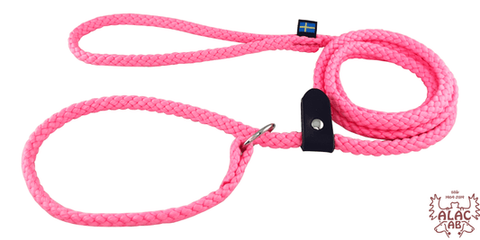 Retrieverkoppel Rosa